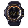 EX16 Bluetooth 4.0 Smart Watch, IP67 Waterproof, Support Sport Monitoring / Data Analysis / Information Reminder / Remote Camera, Compatible with both Android and iOS System (Gold)