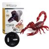 9992 Infrared Sensor Remote Control Simulated Scorpion Creative Children Electric Tricky Toy Model - Image 4