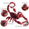 9992 Infrared Sensor Remote Control Simulated Scorpion Creative Children Electric Tricky Toy Model - Image 5