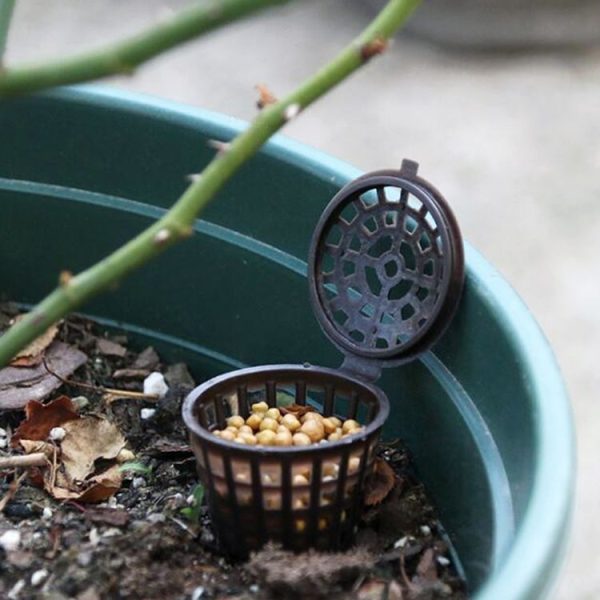 10PCS Bonsai Tools Gardening Products Gardening Tools Bonsai Fertilizer Boxes with Cover, Small Size: 4 x 3cm - Image 5