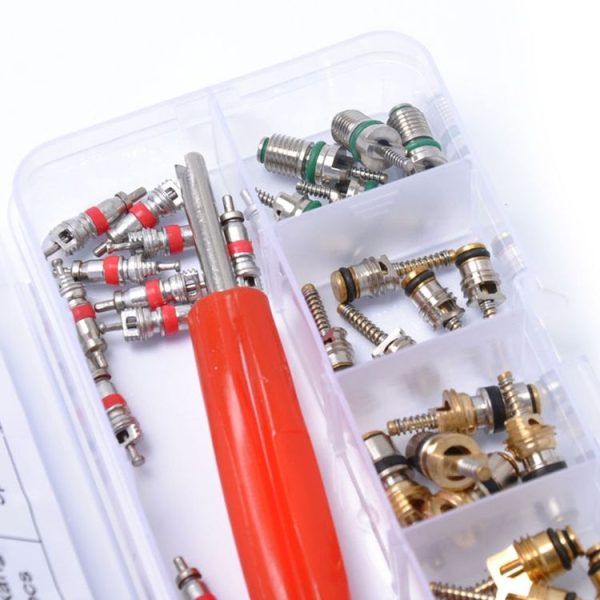 35 PCS Car R134A Air Condition Valve Core Assortment with Remover Tool for Buick / Citroen / Jetta - Image 5