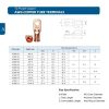 10 PCS AWG T2 Copper Heavy-duty Cold-pressed Wire Terminals 6 x 1 / 4 with Heat Shrinkable Tube - Image 5