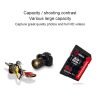 Eekoo 8GB High Speed Class 10 SD Memory Card for All Digital Devices with SD Card Slot - Image 8