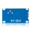 2 PCS Landa Tianrui LDTR-WG0117 2 in 1 DC-DC Booster Board Power Module - Image 3