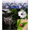 JSR 15X Macro Lens Filter For DJI Osmo Action 3 - Image 6