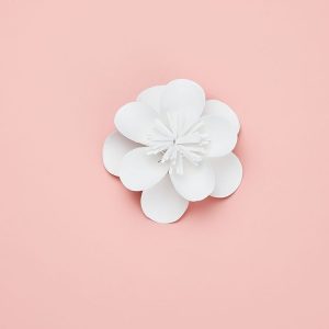 Peach Blossom Creative Paper Cutting Shooting Props Flowers Papercut Jewelry Cosmetics Background Photo Photography Props (White)