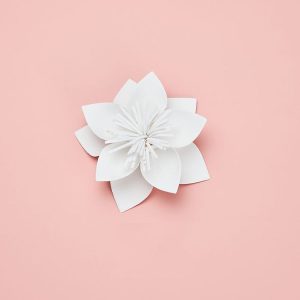 Lotus Creative Paper Cutting Shooting Props Flowers Papercut Jewelry Cosmetics Background Photo Photography Props (White)