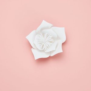 Bougainvillea Creative Paper Cutting Shooting Props Flowers Papercut Jewelry Cosmetics Background Photo Photography Props (White)