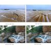 STARTRC for DJI Avata Drone UV + ND8 + ND16 + ND32 + ND64 Lens Filter - Image 7