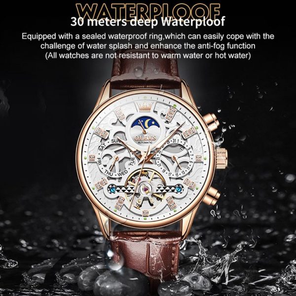 OLEVS 6658 Men Luminous Waterproof Leather Strap Mechanical Watch (White + Rose Gold) - Image 8