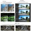 Insta360 GO 2 / GO 3 JSR LS Series Camera Lens Filter, Filter: MRC UV - Image 5