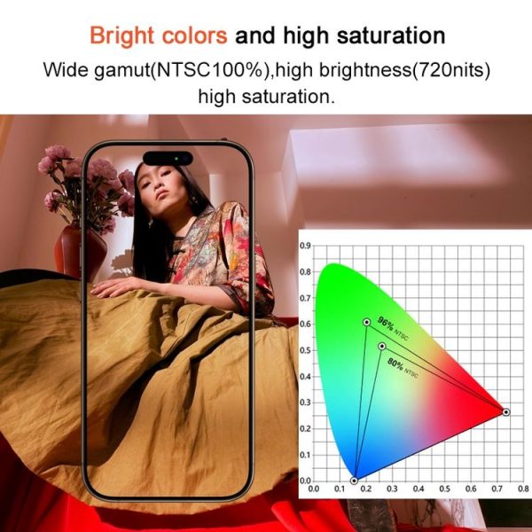 IPhone 13 Pro Max RJ Incell LCD Screen - Image 6