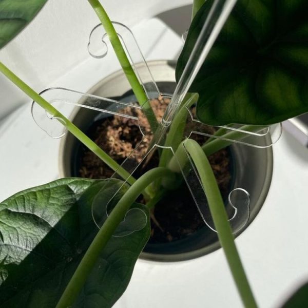 YX106 Acrylic Plant Growth Support Bracket (Small) - Image 3
