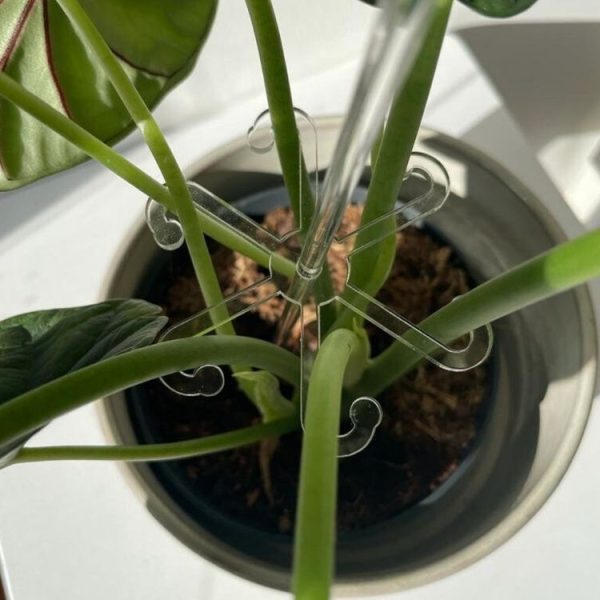 YX106 Acrylic Plant Growth Support Bracket (Small) - Image 5
