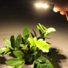 3W 6 LEDs SMD 5730 LED Module Lamp Lighting Source (Warm White Light) - Image 5