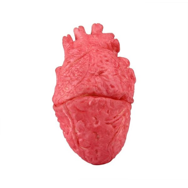 Popular Funny Halloween Props Fake Heart - Image 2