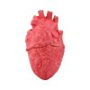 Popular Funny Halloween Props Fake Heart - Image 3