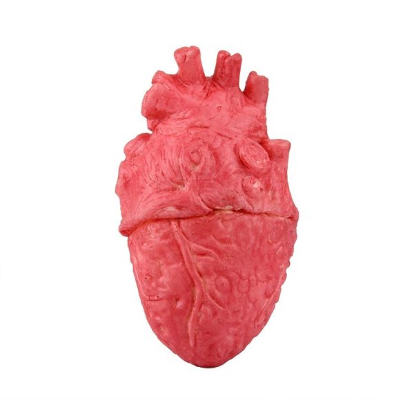 Popular Funny Halloween Props Fake Heart - Image 3