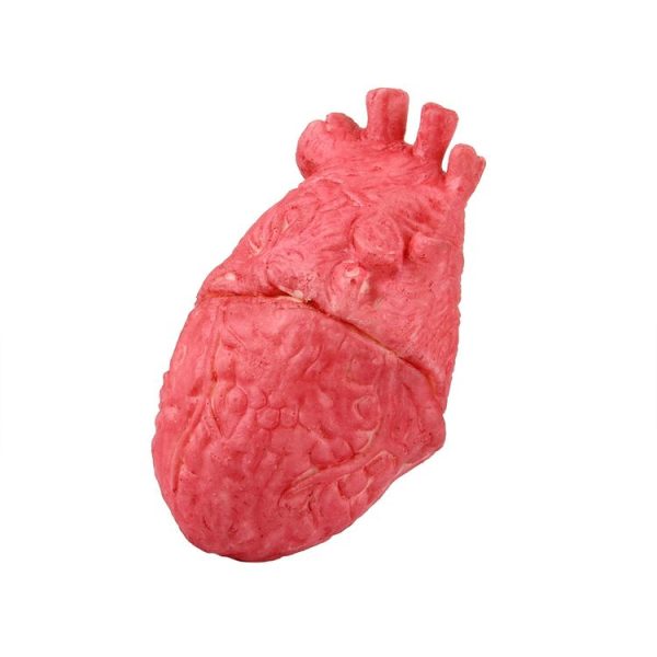 Popular Funny Halloween Props Fake Heart - Image 4