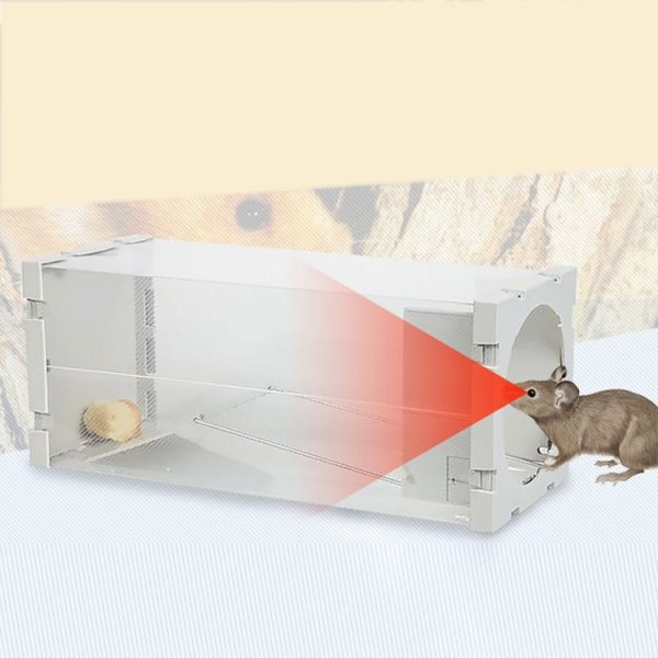Door Humane Animal Live Cage, Rat, Mouse and More Small Rodents PP Material Transparent Cage Trap - Image 3