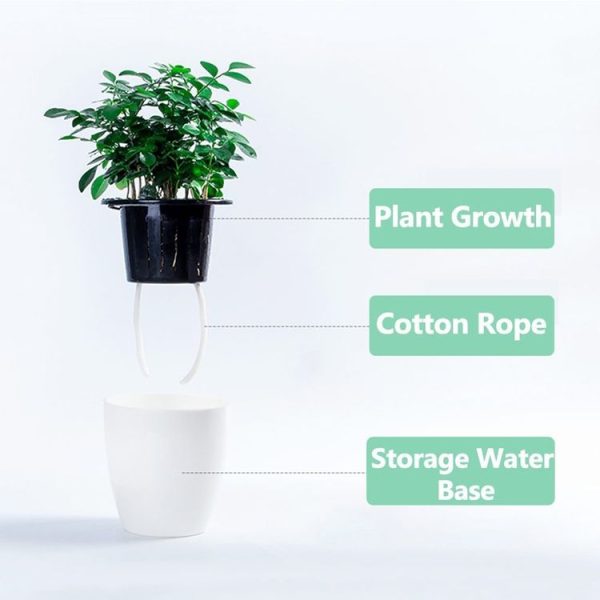 Lazy Flower Pots Automatic Water-absorbing Hydroponic Potted Plants Circular Resin Plastic Flower Pots Double-layer Design Self Watering Planter, Diameter: 11cm, Height: 10.3cm (White) - Image 4