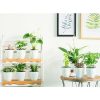 Lazy Flower Pots Automatic Water-absorbing Hydroponic Potted Plants Circular Resin Plastic Flower Pots Double-layer Design Self Watering Planter, Diameter: 11cm, Height: 10.3cm (White) - Image 6