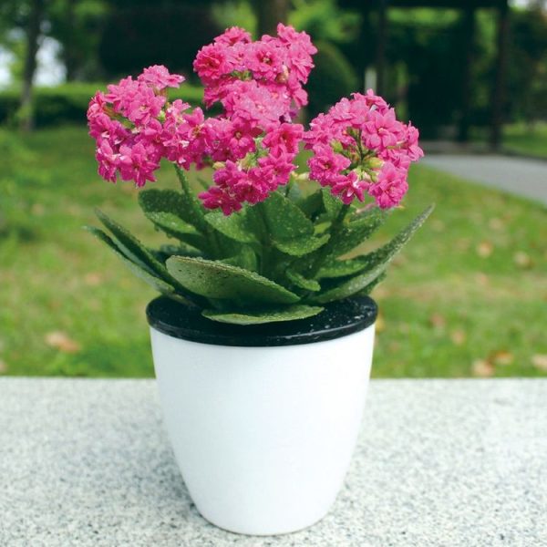 Lazy Flower Pots Automatic Water-absorbing Hydroponic Potted Plants Circular Resin Plastic Flower Pots Double-layer Design Self Watering Planter, Diameter: 12cm, Height: 12.2cm (White) - Image 8