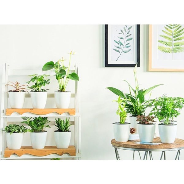 Lazy Flower Pots Automatic Water-absorbing Hydroponic Potted Plants Circular Resin Plastic Flower Pots Double-layer Design Self Watering Planter, Diameter: 13cm, Height: 13.7cm (White) - Image 6