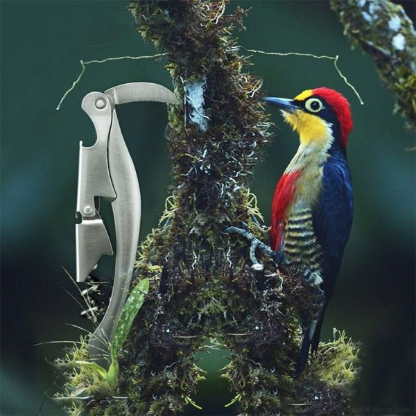 Original Xiaomi Youpin Circle Joy Stainless Steel Wine Corkscrew Bottle Opener - Image 13