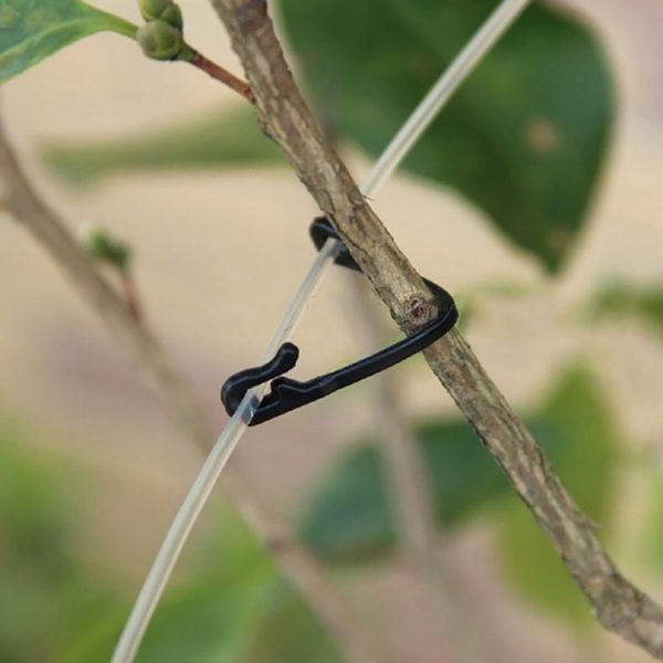 100 PCS / 2 Packs Gardening Vine Grape Tied Tie Strap - Image 5