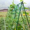 Plants Climb Rattan Frame Adornment Flower Rack Flowers Plants Craft Hanging Decor Gardening Net, Size: 1.8 x 2.7m - Image 4