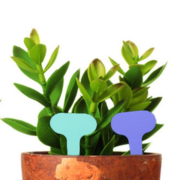 100PCS Floral Label Gardening Label Waterproof small card Insert Label Potted Label, Random Color Delivery - Image 5