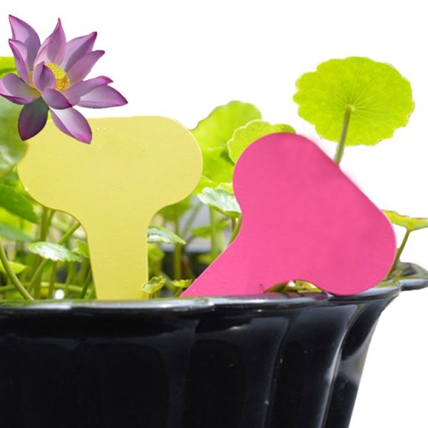 100PCS Floral Label Gardening Label Waterproof small card Insert Label Potted Label, Random Color Delivery - Image 6