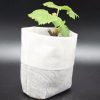 100pcs / Pack Nursery Pots Seedling-Raising Bags Environmental Non-woven Nursery Bags - Image 3