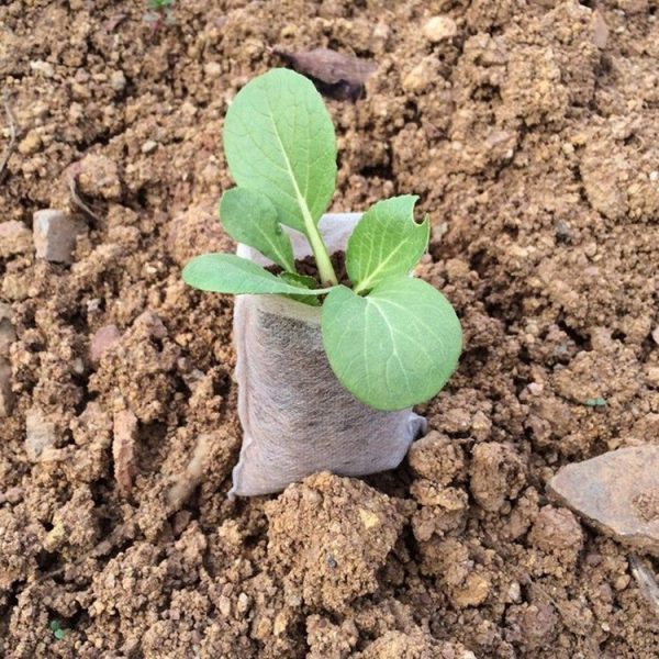 100pcs / Pack Nursery Pots Seedling-Raising Bags Environmental Non-woven Nursery Bags - Image 4