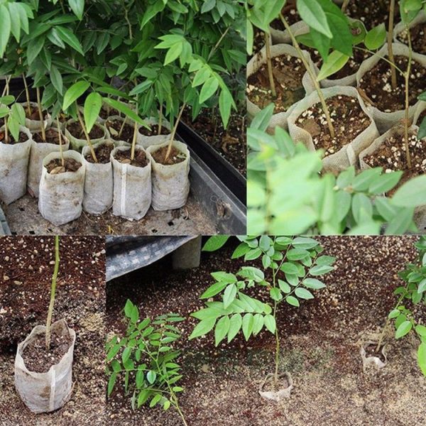100pcs / Pack Nursery Pots Seedling-Raising Bags Environmental Non-woven Nursery Bags - Image 6