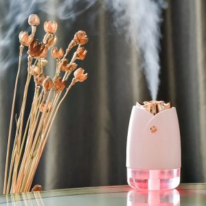 WT-H19 Rose Atomizing Humidifier with Colorful Night Lights, Water Tank Capacity: 230mL (Pink)