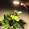 3W 6 LEDs SMD 5730 LED Module Lamp Ceiling Lighting Source, DC 5V Warm White Light - Image 4