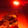 3W 6 LEDs SMD 5730 LED Module Lamp Ceiling Lighting Source, DC 9V Red Light - Image 4