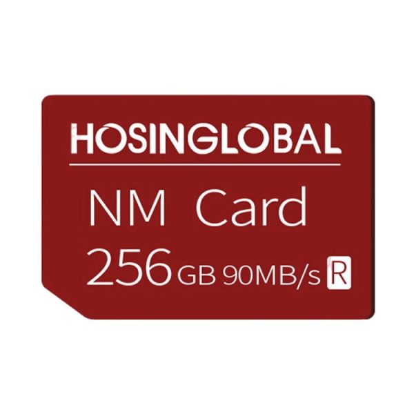 HOSINGLOBAL 90MB / s 256GB NM Card