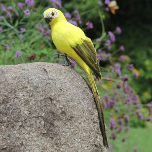 25cm Simulation Parrot Simulation Macaw Horticultural Decoration (Yellow)