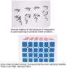 Kirin 6 x 6 x 6 Brain Speed Puzzle Magic Cube Toy, Random Color Delivery - Image 6