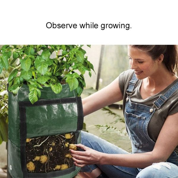 10 Gallons Potato Planting PE Bags Vegetable Planting Grow Bags Farm Garden Supplies, Size: 35cm x 45cm (Orange) - Image 6