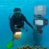 PULUZ 20 LEDs 40m Waterproof IPX8 Studio Light Video & Photo Light with Hot Shoe Base Adapter & Quick Release Buckle & Long Screw & 2 x Filter Plates for GoPro HERO10 Black / HERO9 Black / HERO8 Black / HERO7 / 6 / 5 / 5 Session / 4 Session / 4 / 3+ / 3 / 2 / 1, Xiaoyi and Other Action Cameras - Image 12
