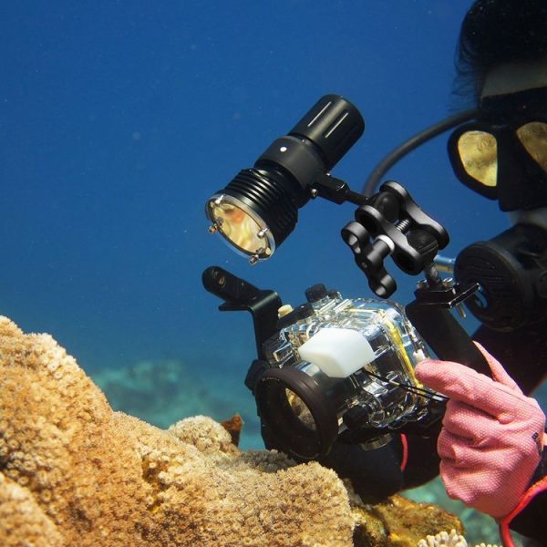 PULUZ Ball Clamp Close Hole Diving Camera Bracket CNC Aluminum Spring Flashlight Clamp for Diving Underwater Photography System (Black) - Image 7