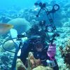 PULUZ Light Diving Aluminum Alloy Clamp Ball Head Mount Adapter Fixed Clip for Underwater Strobe Housing Light - Image 7