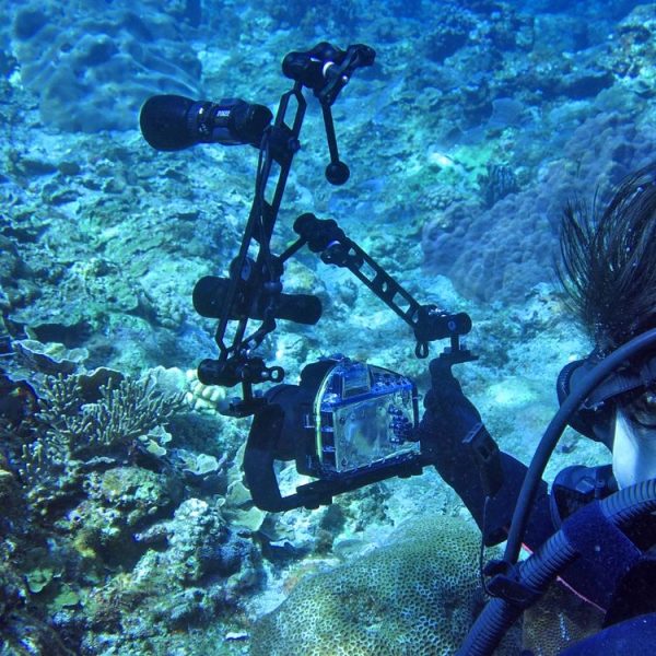 PULUZ Triple Ball Clamp Diving Camera Bracket Aluminum Spring Flashlight Clamp for Diving Underwater Photography System - Image 7