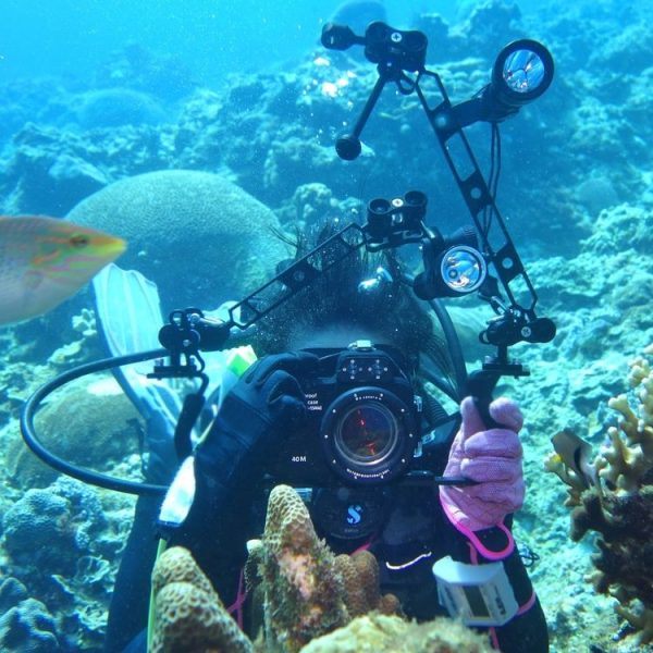 PULUZ 8 inch 20cm Length 80mm Diameter Dual Balls Carbon Fiber Floating Arm, Ball Diameter: 25mm, Buoyancy: 600g - Image 6