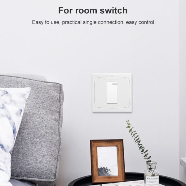 Wall Plate with Screw for Blank Inserts - 1 Hole, Use around the world (White) - Image 4