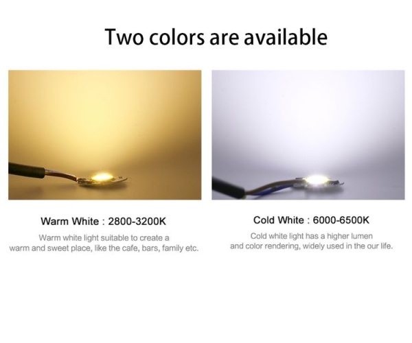 10 pcs COB LED Light Chip AC 220V LED Bulb Light Intelligent IC Driver Bulb Light DIY Spotlight Downlight Chip Outdoor Flood Light (12W (cold white)) - Image 6